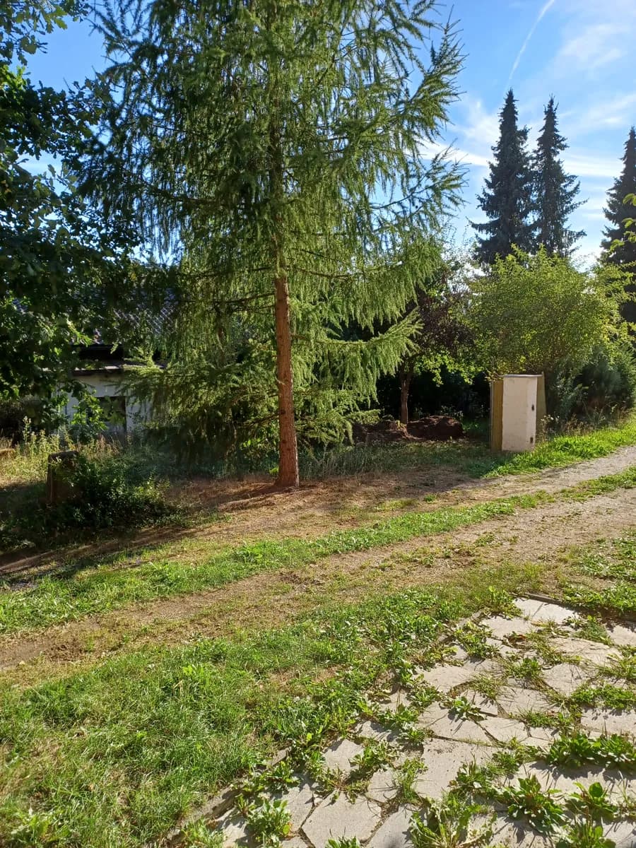 2-Zimmer-Haus mieten in Freistadt – 62 m², € 660 – Bild 10 von 11