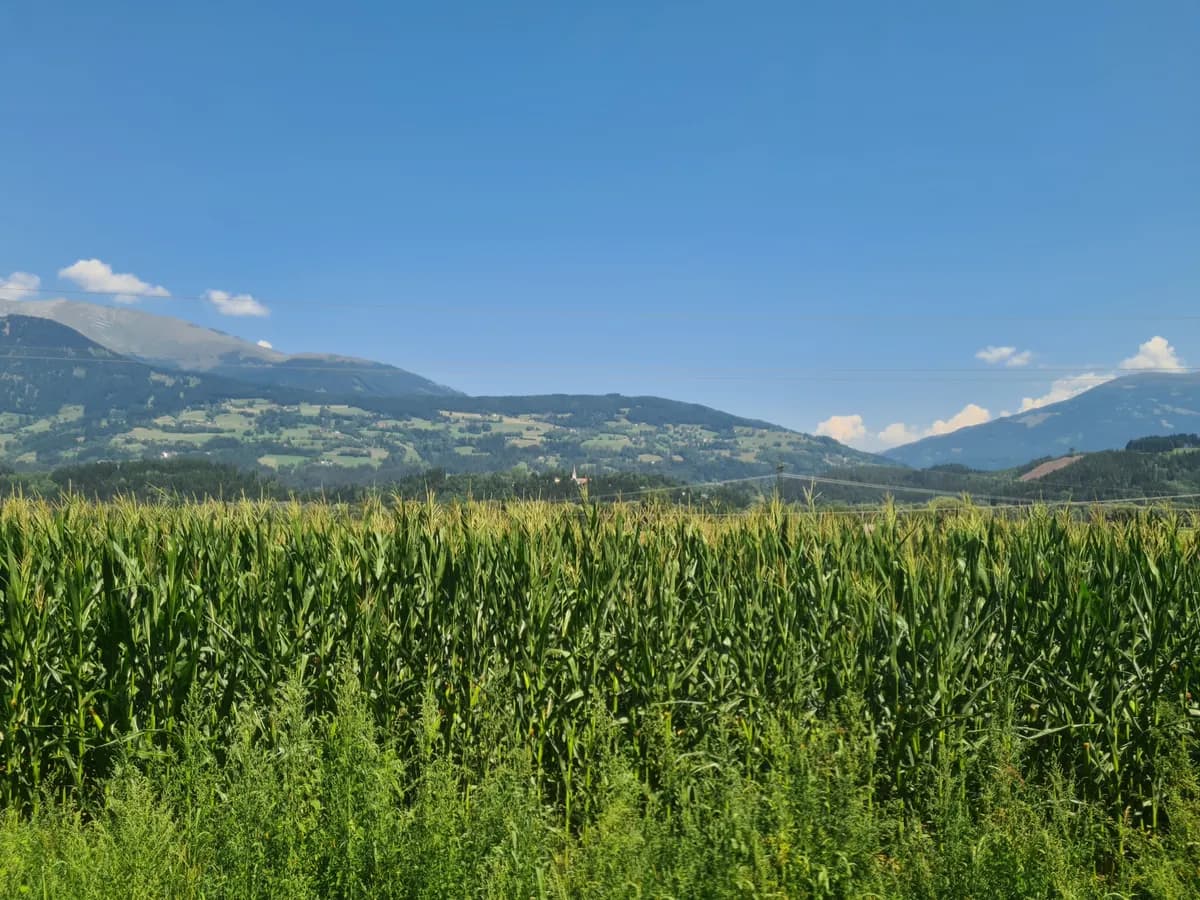Grundstück kaufen in Spittal an der Drau – 823 m², € 98.760 – Bild 5 von 6