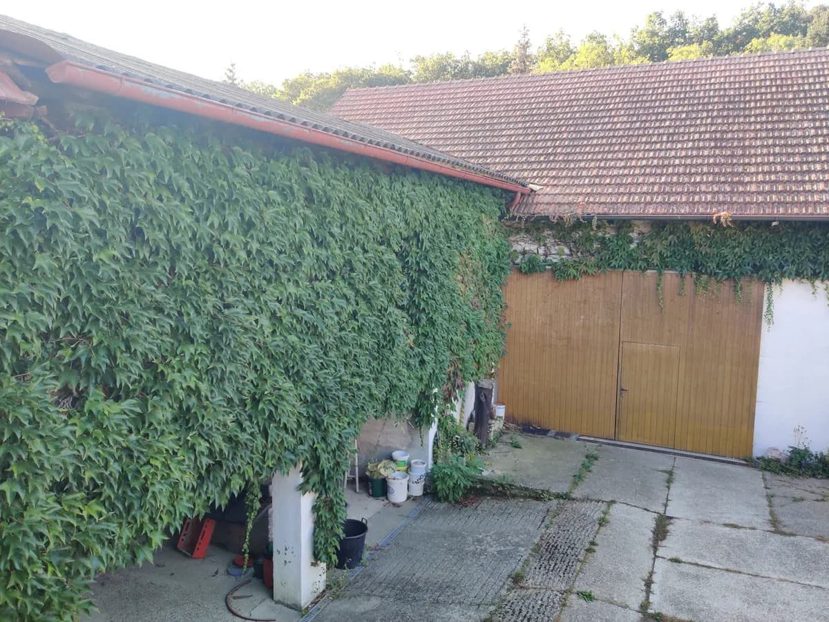 Immobilie kaufen in Horn – 120 m², € 250.000 – Bild 2 von 19