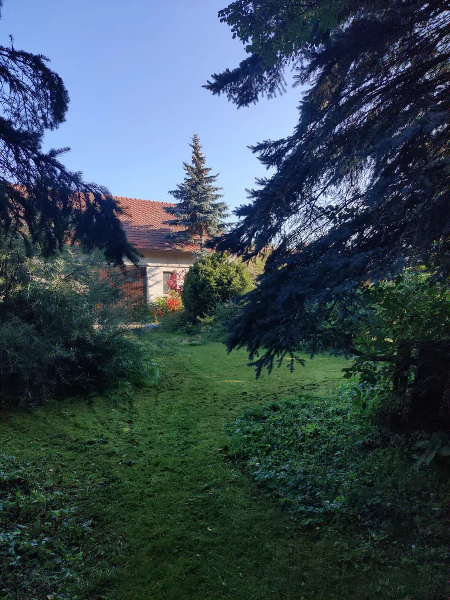 Immobilie kaufen in Horn – 120 m², € 250.000 – Bild 3 von 19