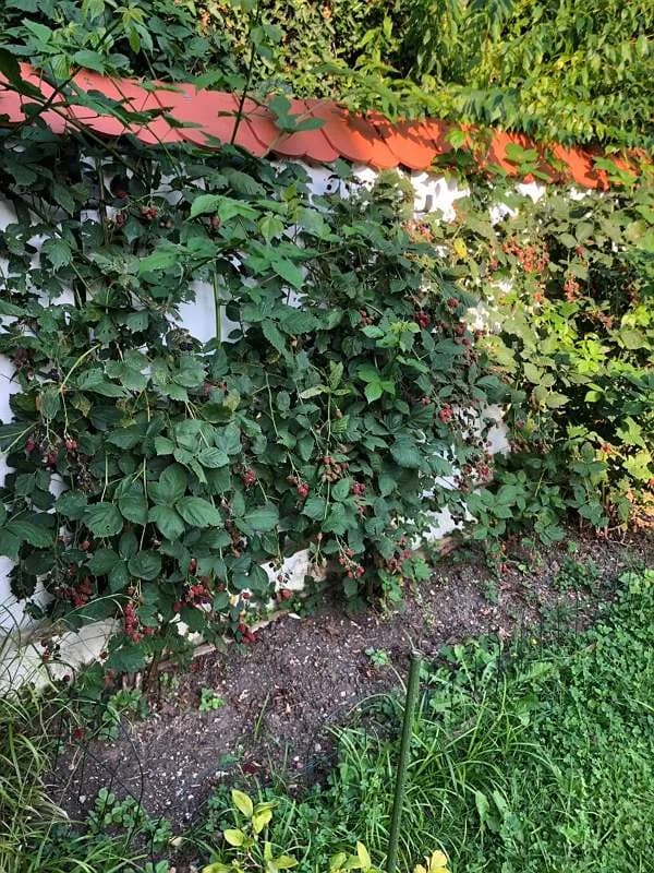3-Zimmer-Haus mieten in Weiz – 125 m², € 1.150 – Bild 2 von 49