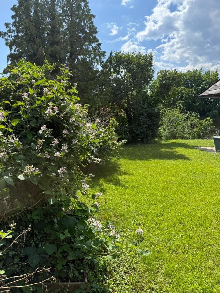 3-Zimmer-Haus mieten in Weiz – 125 m², € 1.150 – Bild 24 von 49