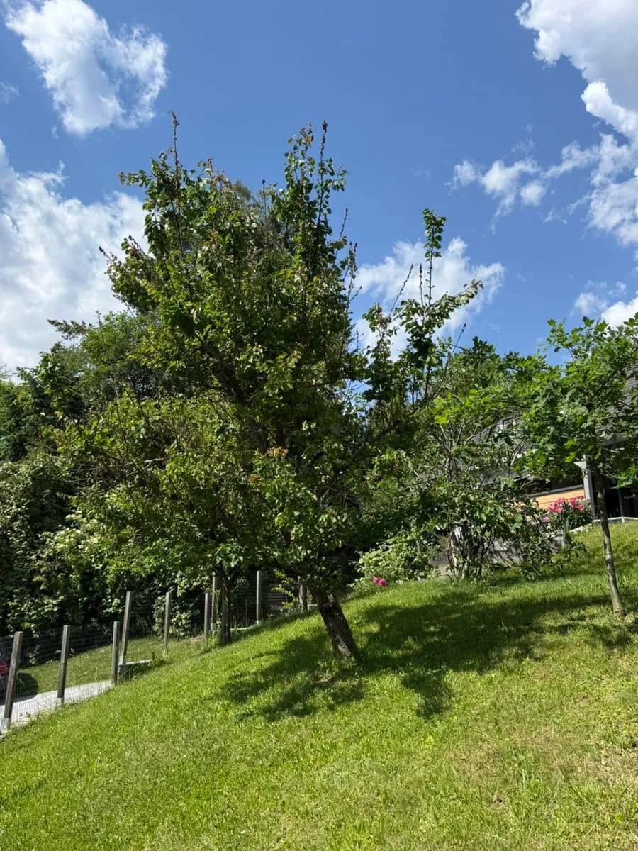 3-Zimmer-Haus mieten in Weiz – 125 m², € 1.150 – Bild 29 von 49