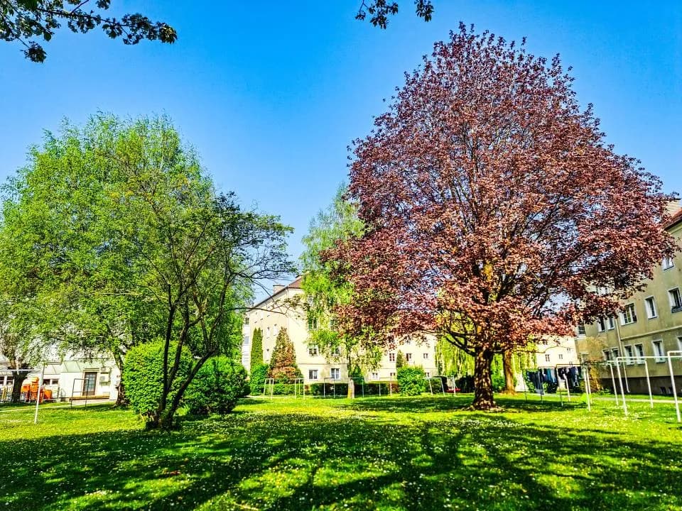 1-Zimmer-Wohnung mieten in Innsbruck – 36 m², € 950 – Bild 6 von 6