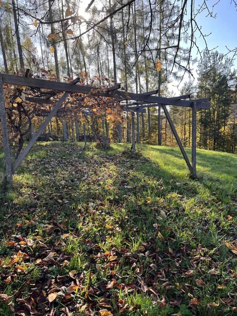 Grundstück kaufen in Hartberg-Fürstenfeld – 3 400 m², € 140.000 – Bild 4 von 15