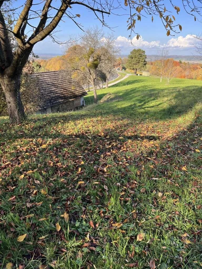 Grundstück kaufen in Hartberg-Fürstenfeld – 3 400 m², € 140.000 – Bild 5 von 15