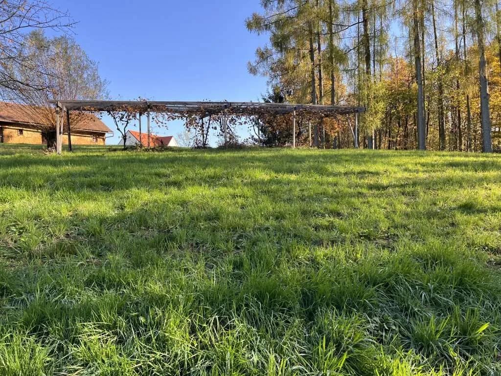 Grundstück kaufen in Hartberg-Fürstenfeld – 3 400 m², € 140.000 – Bild 12 von 15