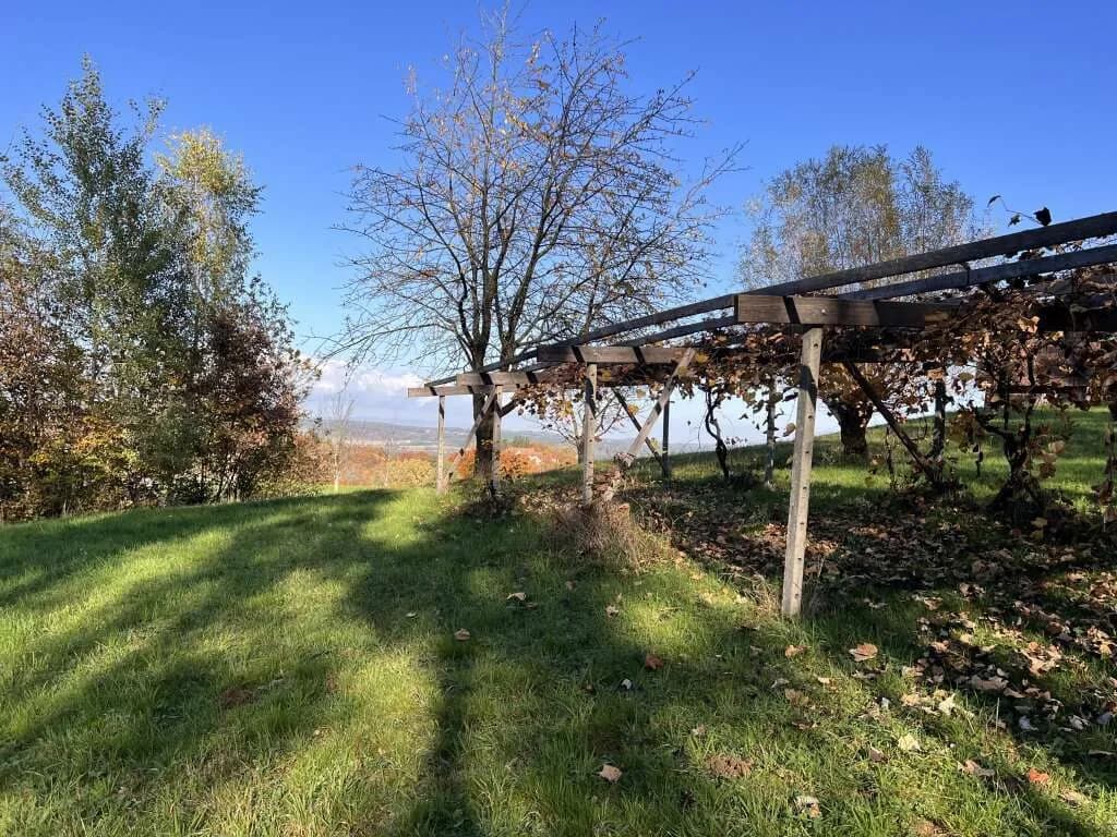 Grundstück kaufen in Hartberg-Fürstenfeld – 3 400 m², € 140.000 – Bild 13 von 15