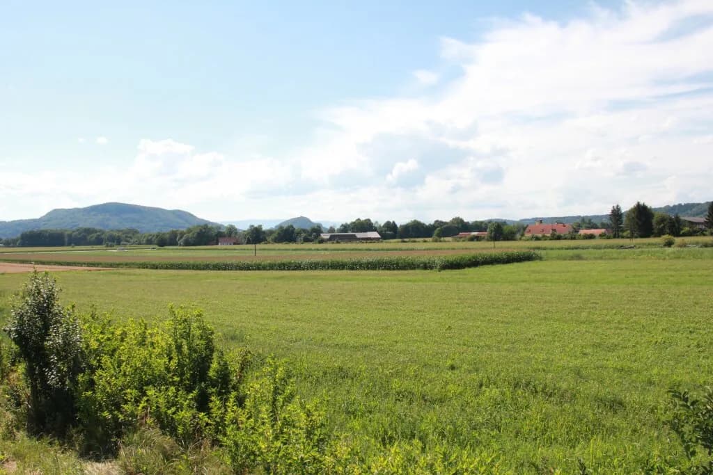 Grundstück kaufen in Leibnitz – 750 m², € 68.000 – Bild 4 von 11