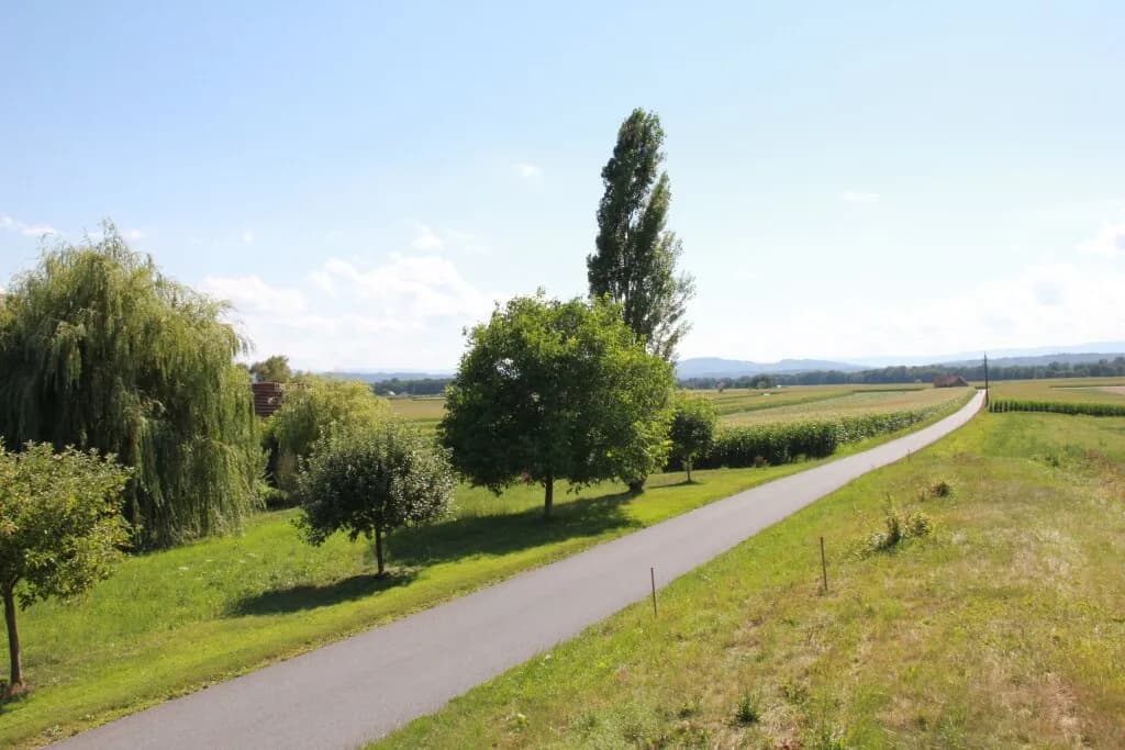 Grundstück kaufen in Leibnitz – 750 m², € 68.000 – Bild 7 von 11