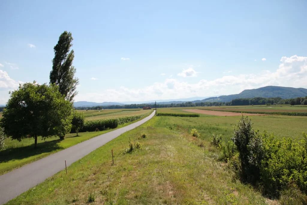 Grundstück kaufen in Leibnitz – 750 m², € 68.000 – Bild 8 von 11