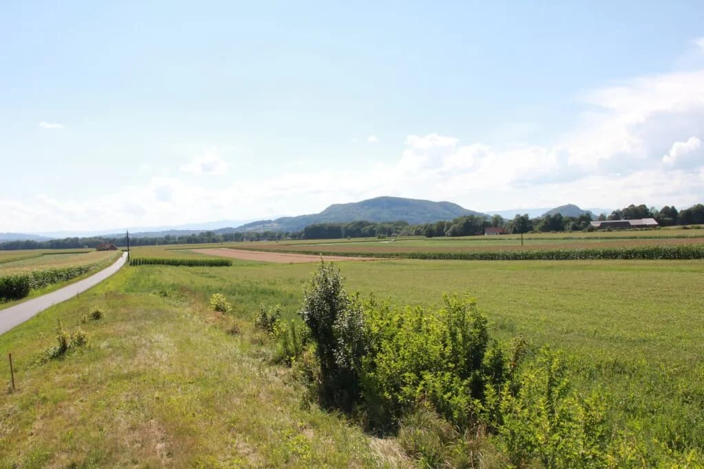 Grundstück kaufen in Leibnitz – 750 m², € 68.000 – Bild 9 von 11