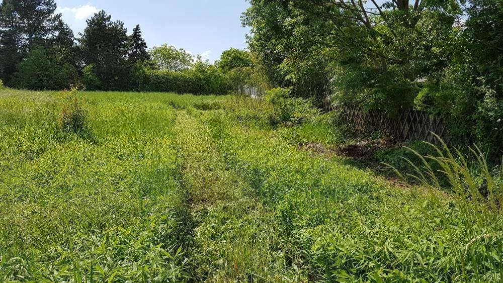 Grundstück mieten in Korneuburg – 259 m², € 400 – Bild 2 von 4