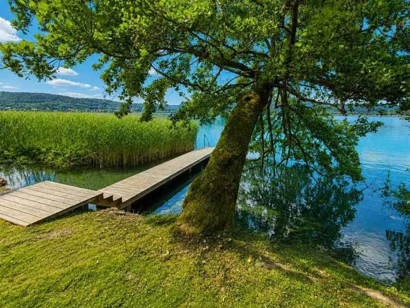 Immobilie kaufen in Klagenfurt Land – 486 m², € 2.538.000 – Bild 2 von 3