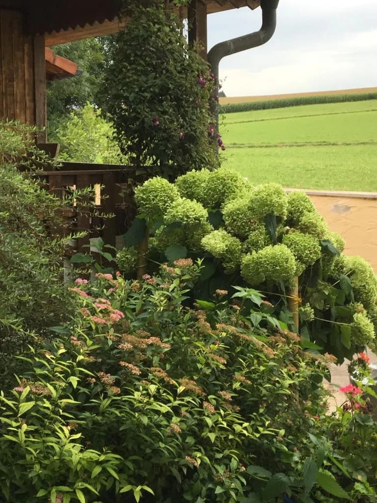 Immobilie kaufen in Wels-Land – 25 m², € 220.000