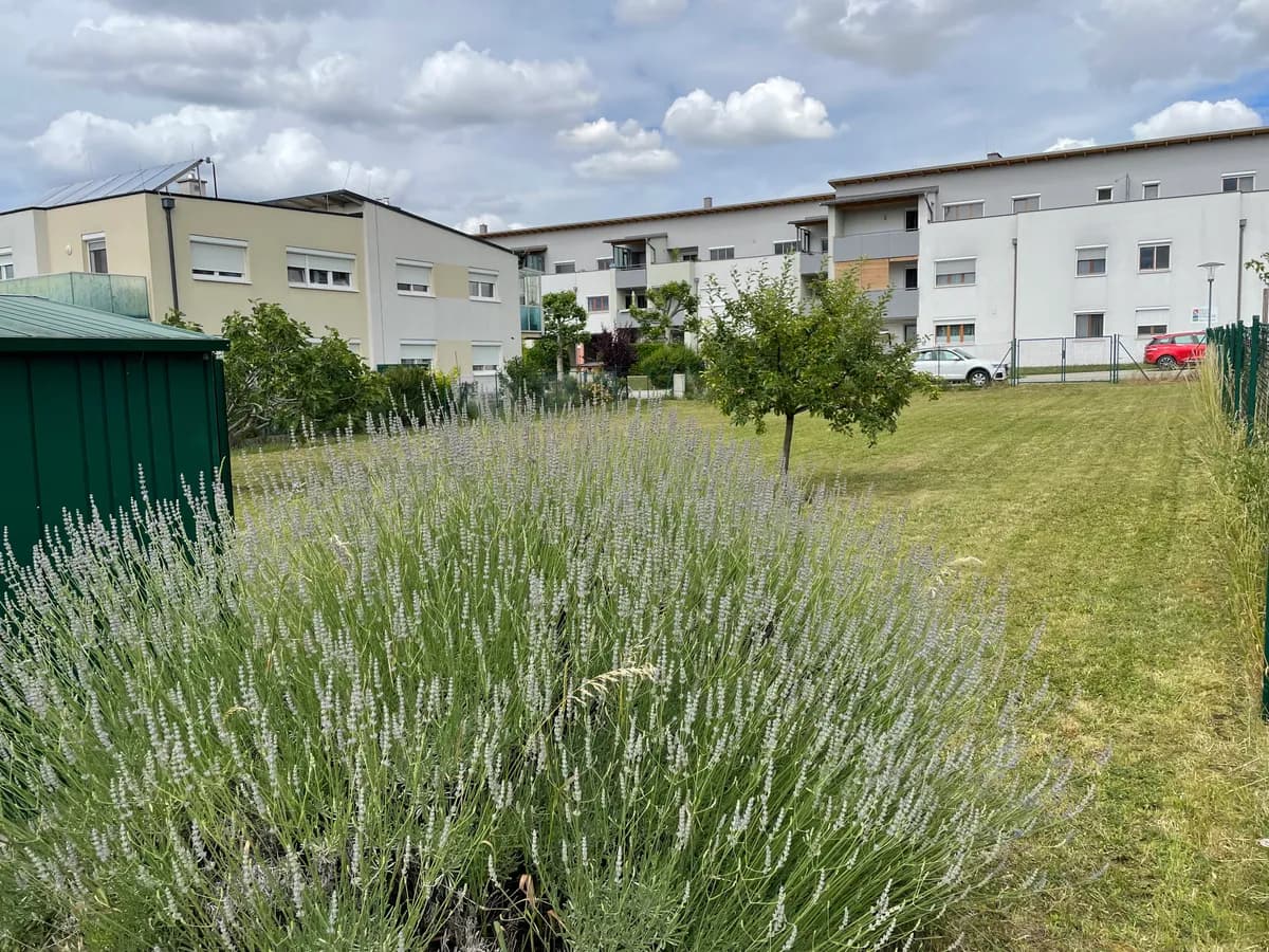 Grundstück kaufen in Neusiedl am See – 688 m², € 380.000 – Bild 2 von 6