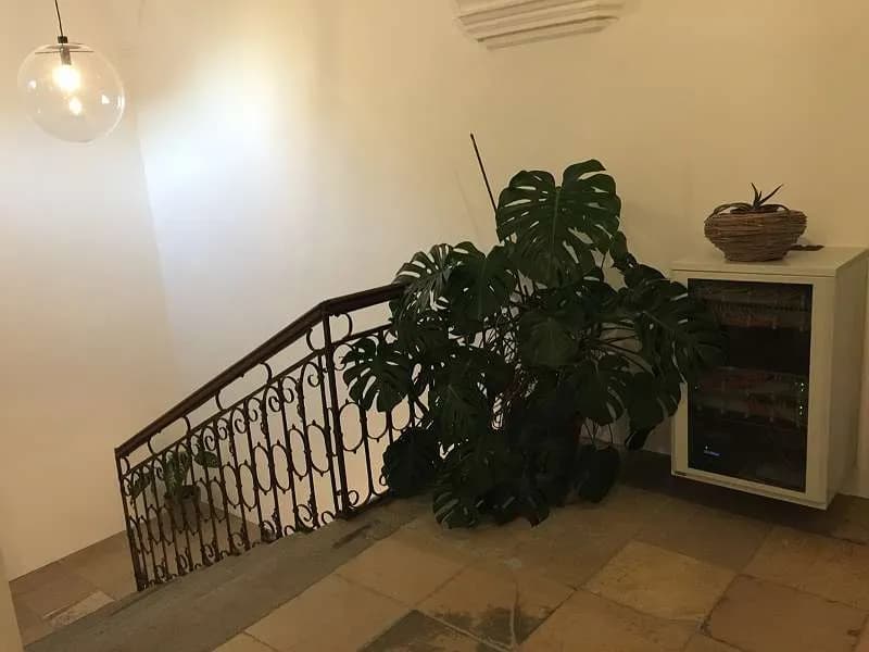 5-Zimmer-Gewerbeimmobilie mieten in Rohrbach – 270 m², € 3.872 – Bild 4 von 31