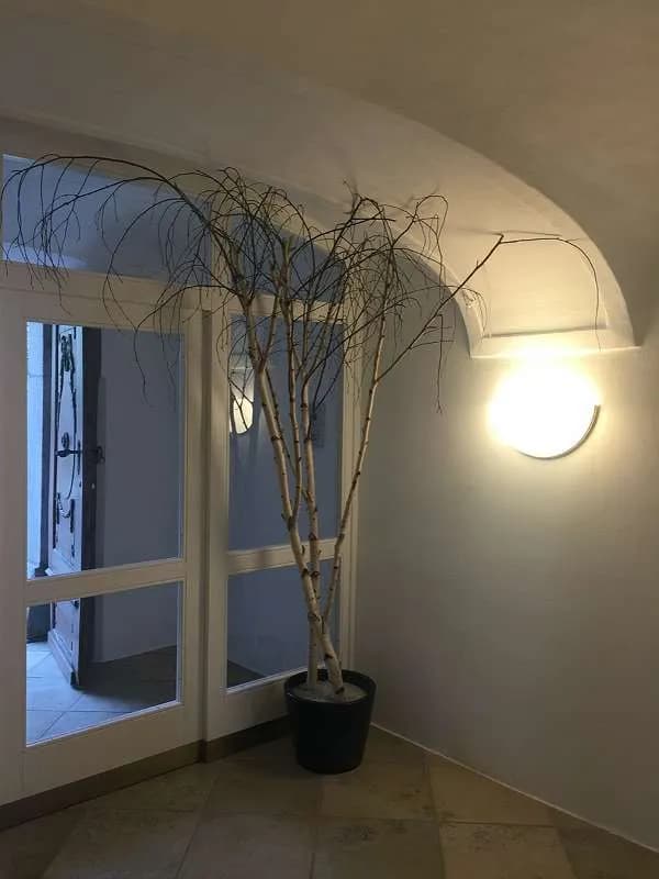5-Zimmer-Gewerbeimmobilie mieten in Rohrbach – 270 m², € 3.872 – Bild 5 von 31