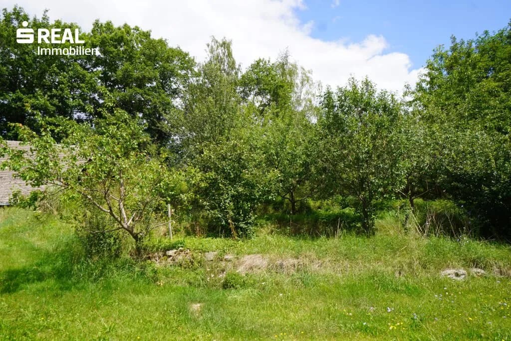 12-Zimmer-Haus kaufen in Zwettl – 4 321 m², € 399.000 – Bild 17 von 48