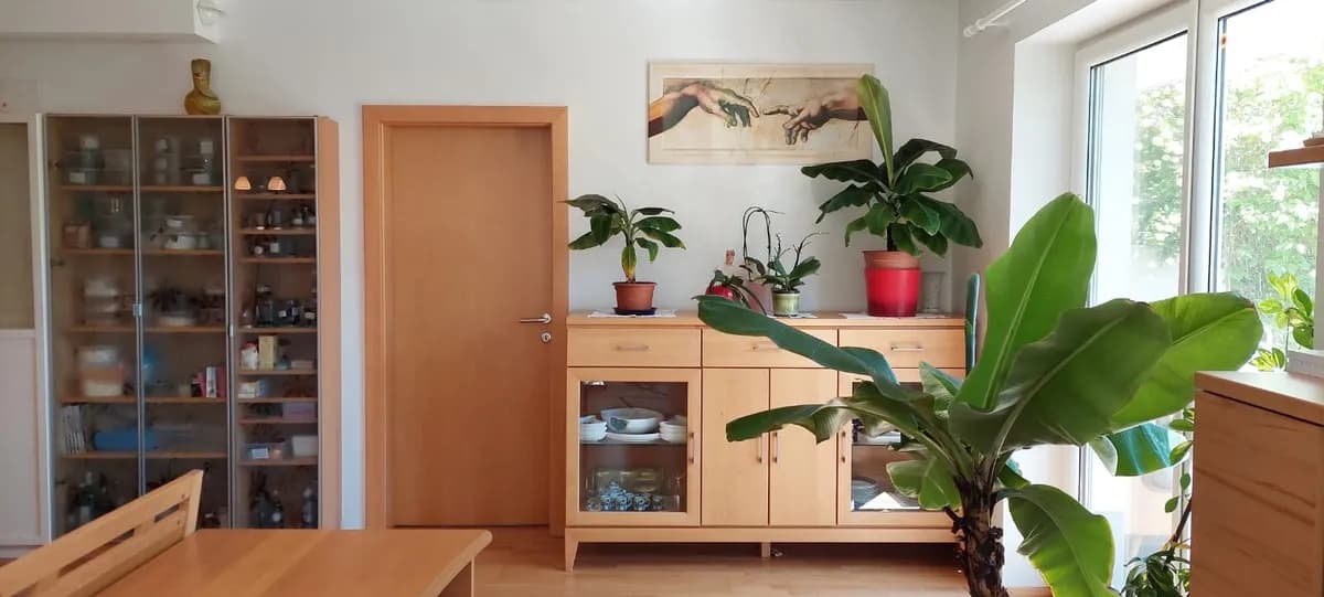 3-Zimmer-Wohnung kaufen in Scheibbs – 72 m², € 225.000 – Bild 6 von 19
