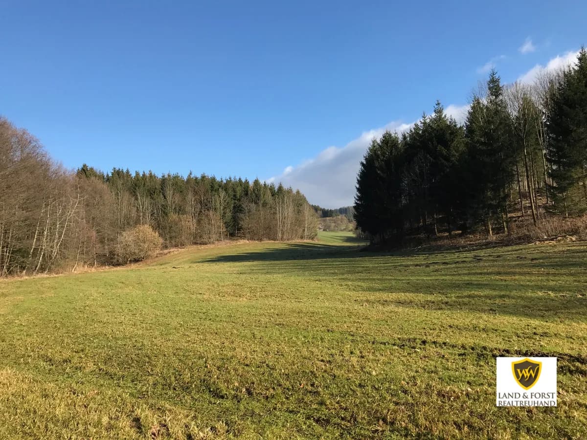 Immobilie kaufen in Perg – 400 m² – Bild 7 von 12