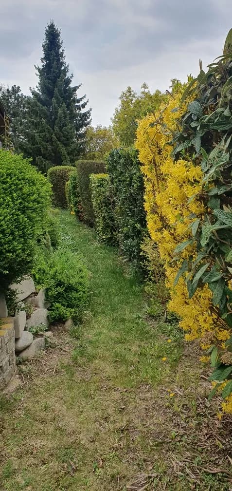 3-Zimmer-Haus kaufen in Wiener Neustadt Land – 75 m², € 315.000 – Bild 14 von 15
