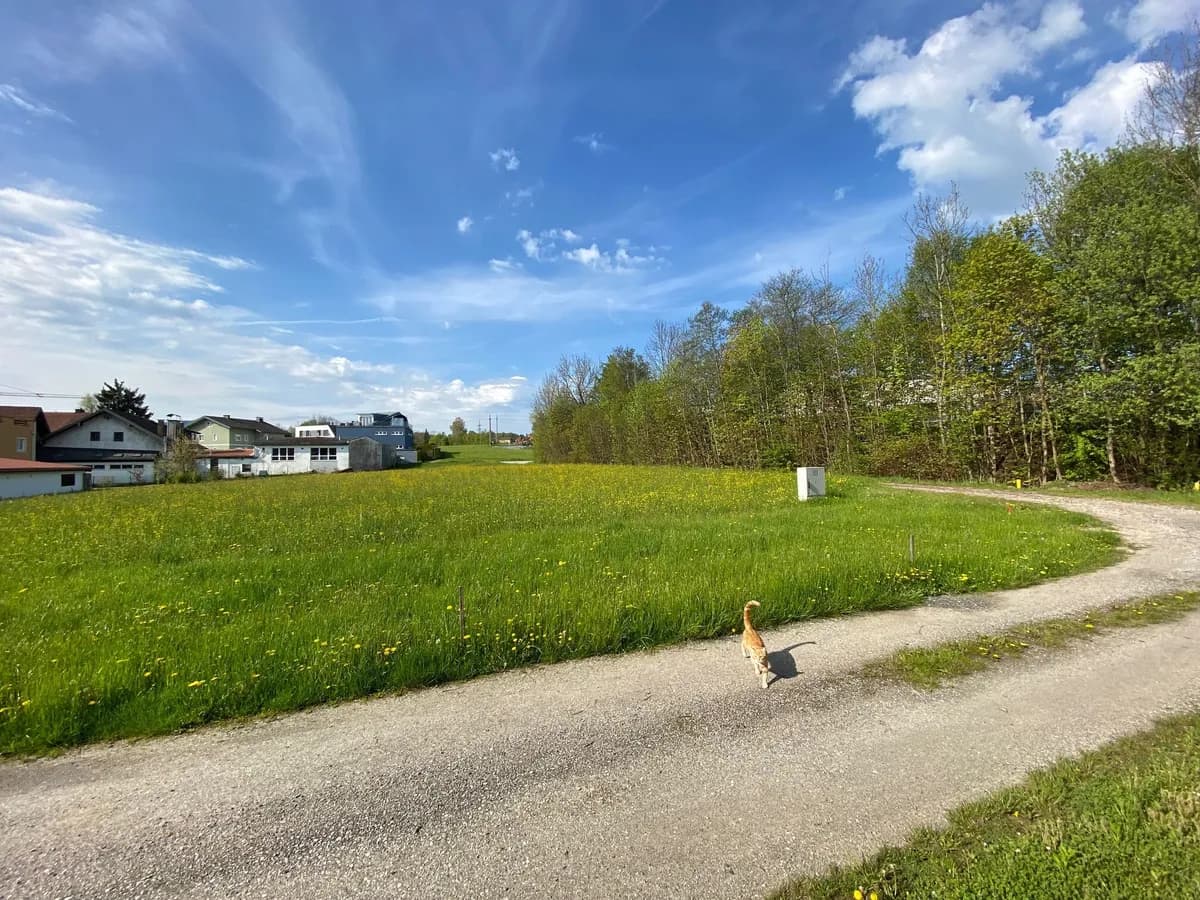 Grundstück kaufen in Salzburg-Umgebung – 1 000 m², € 795.000 – Bild 5 von 5