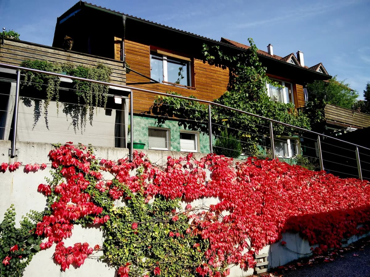 4-Zimmer-Haus kaufen in Urfahr-Umgebung – 100 m², € 277.000 – Bild 2 von 40