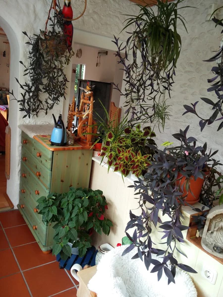 4-Zimmer-Haus kaufen in Urfahr-Umgebung – 100 m², € 277.000 – Bild 37 von 40