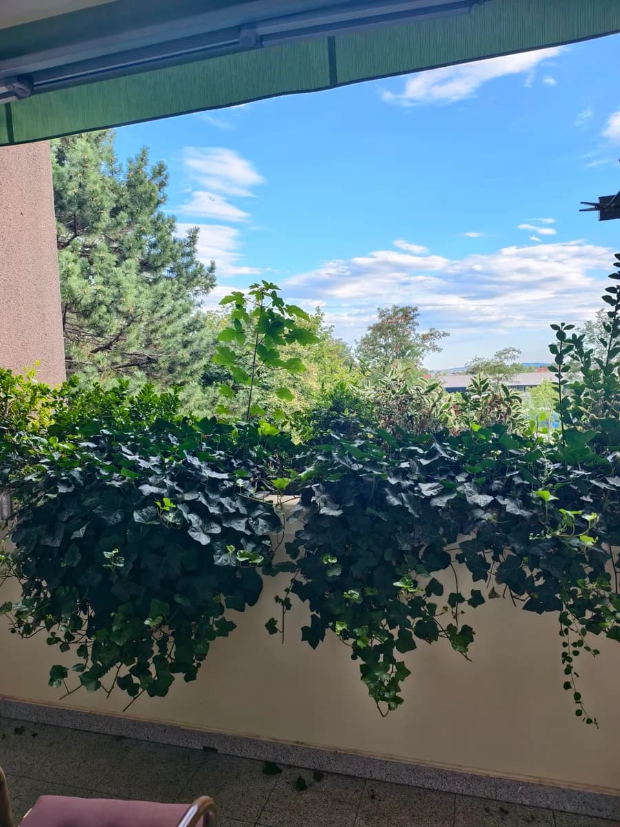 3-Zimmer-Wohnung kaufen in Baden – 98 m², € 389.000 – Bild 32 von 41