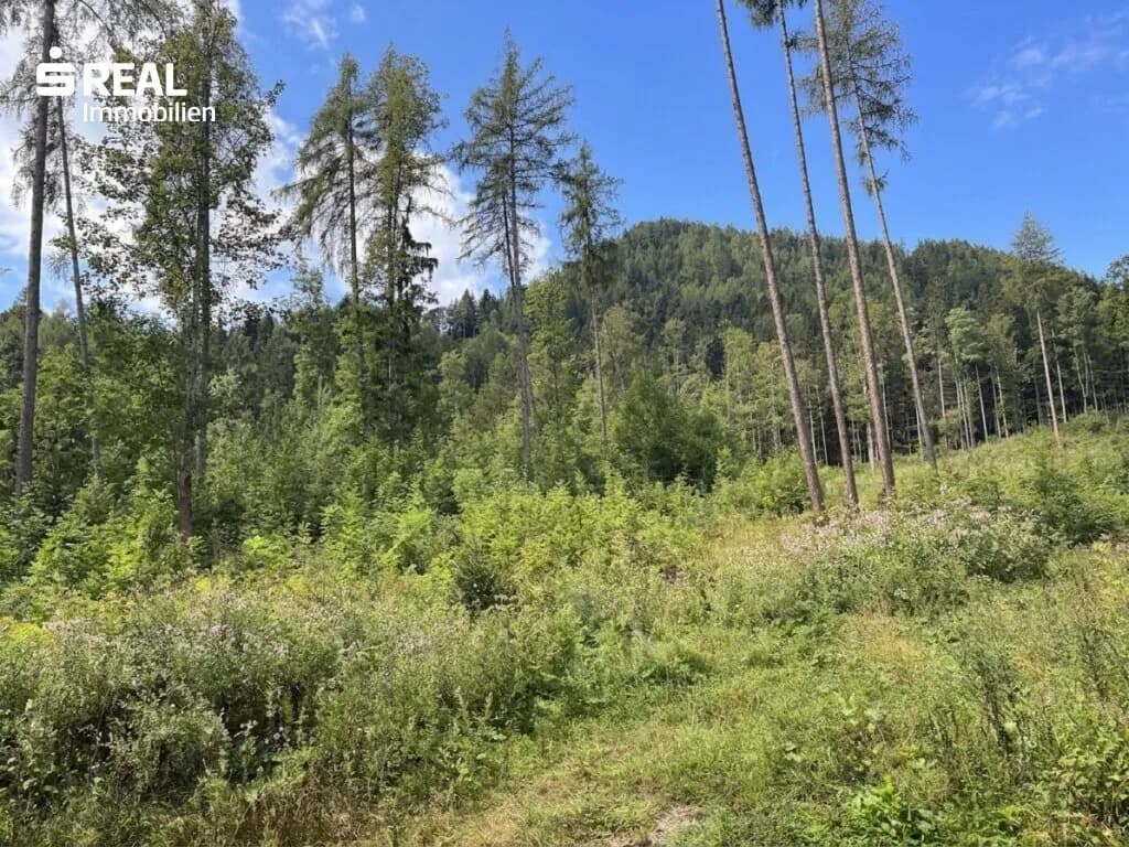 Grundstück kaufen in Liezen – 73 417 m², € 215.000 – Bild 3 von 11