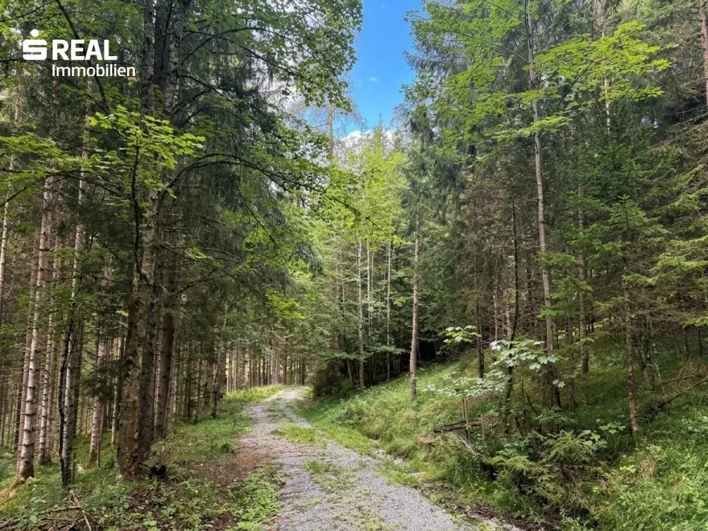 Grundstück kaufen in Liezen – 73 417 m², € 215.000 – Bild 4 von 11