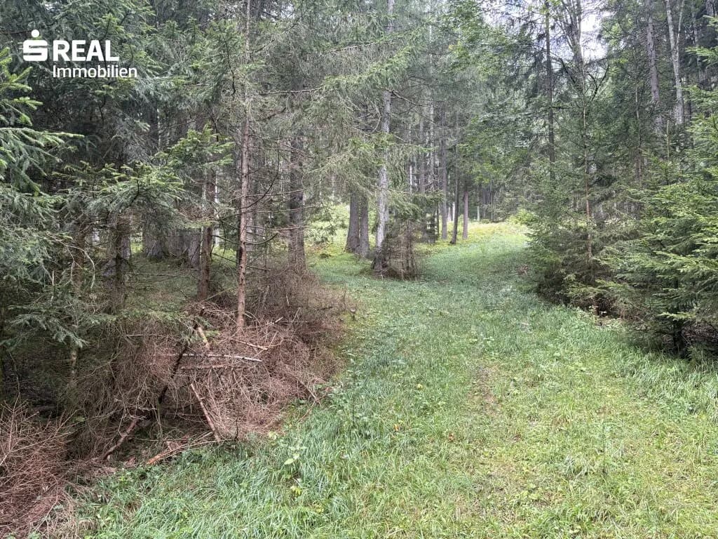 Grundstück kaufen in Liezen – 73 417 m², € 215.000 – Bild 5 von 11