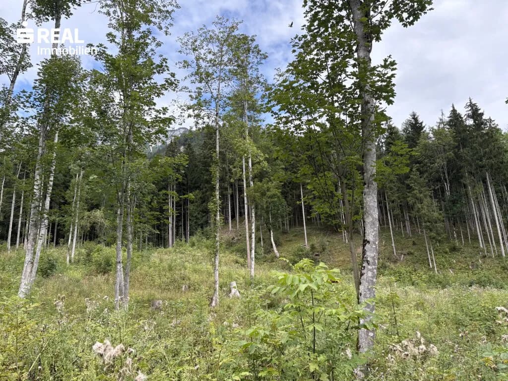 Grundstück kaufen in Liezen – 73 417 m², € 215.000 – Bild 6 von 11