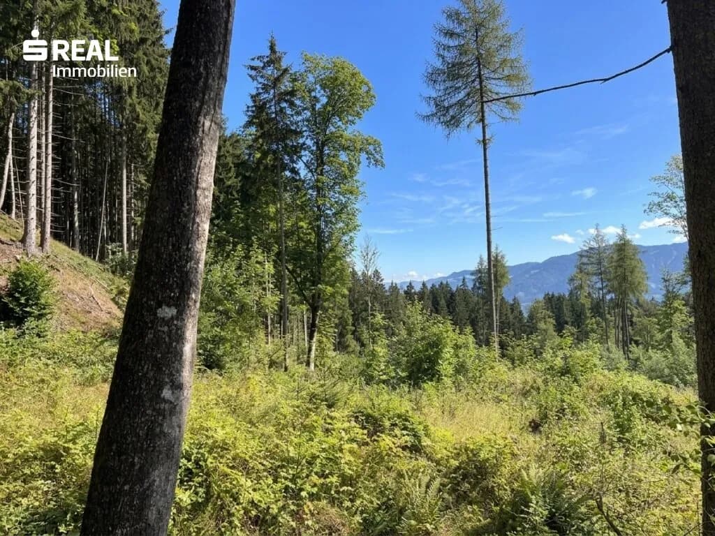 Grundstück kaufen in Liezen – 73 417 m², € 215.000 – Bild 7 von 11