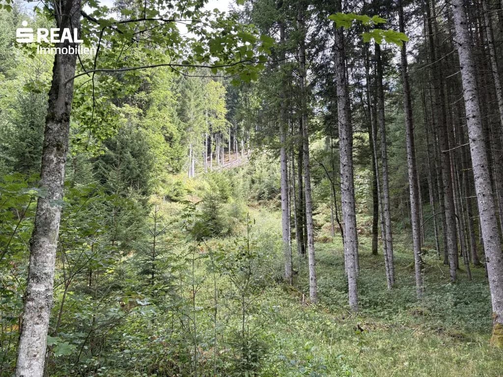 Grundstück kaufen in Liezen – 73 417 m², € 215.000 – Bild 8 von 11