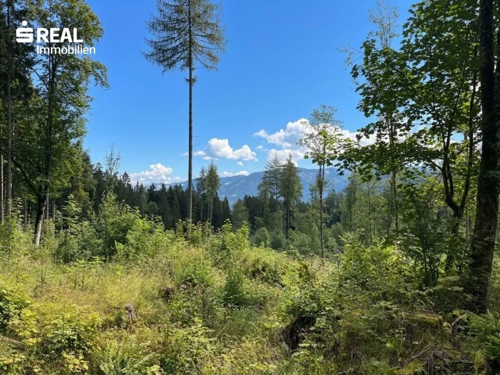 Grundstück kaufen in Liezen – 73 417 m², € 215.000 – Bild 10 von 11