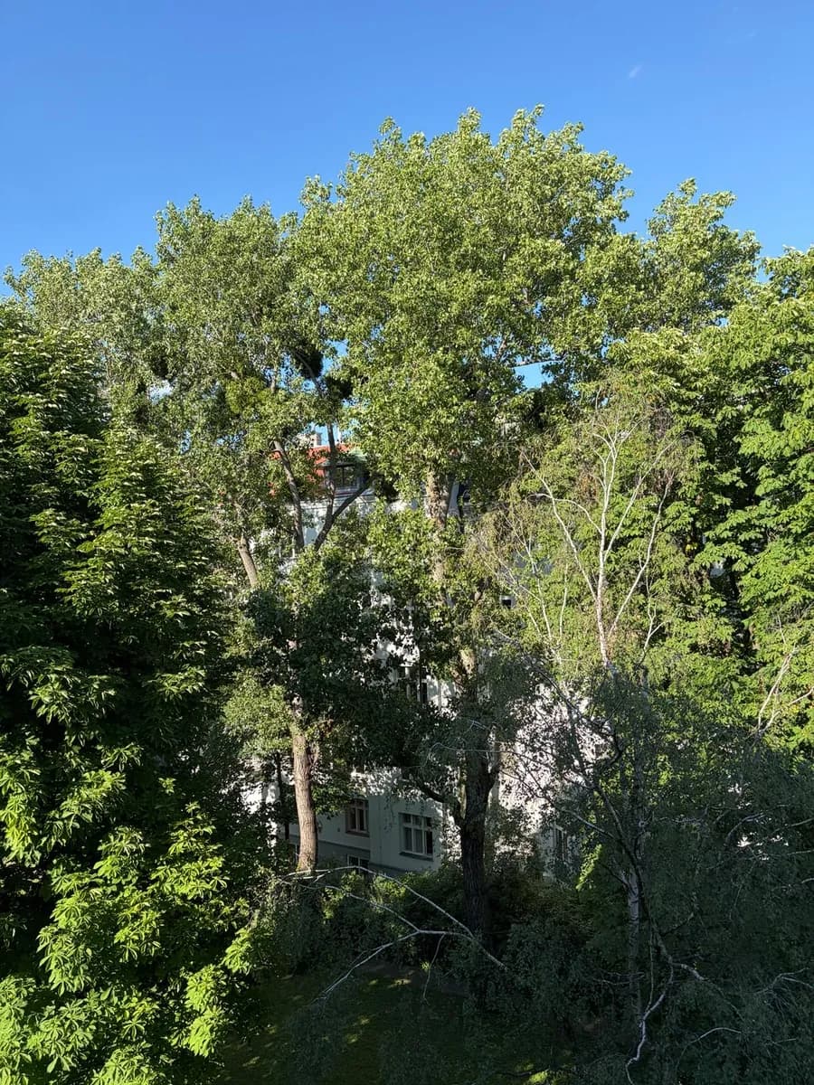 Wohnung mieten in Wien – 80 m², € 750 – Bild 2 von 7