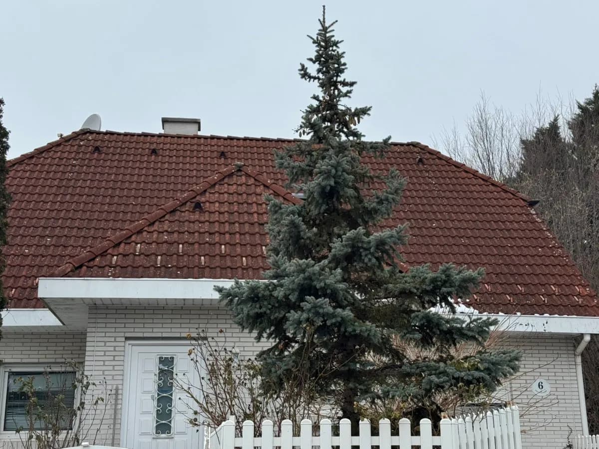 4-Zimmer-Haus kaufen in Baden – 160 m², € 50.000 – Bild 19 von 30