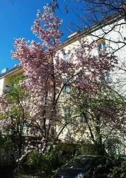 Gewerbeimmobilie mieten in Graz – 125 m², € 1.990 – Bild 15 von 19