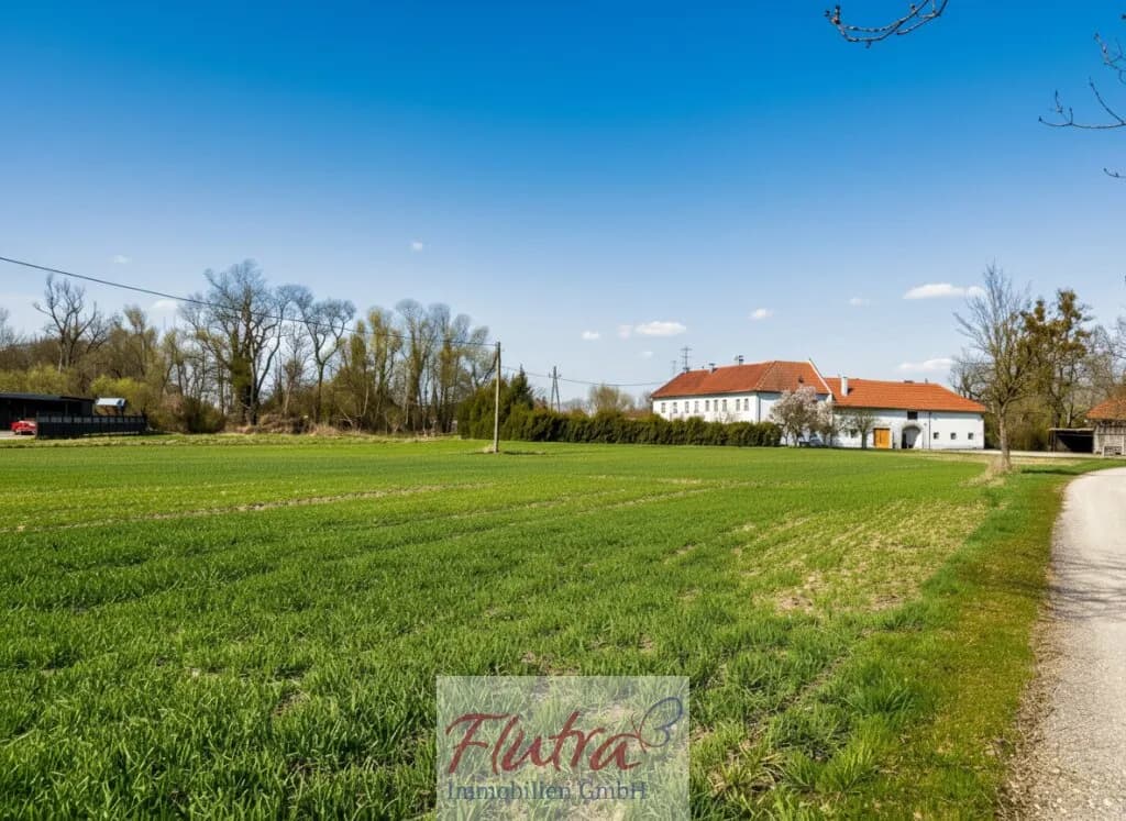 Grundstück kaufen in Wels-Land – 6 000 m² – Bild 3 von 8