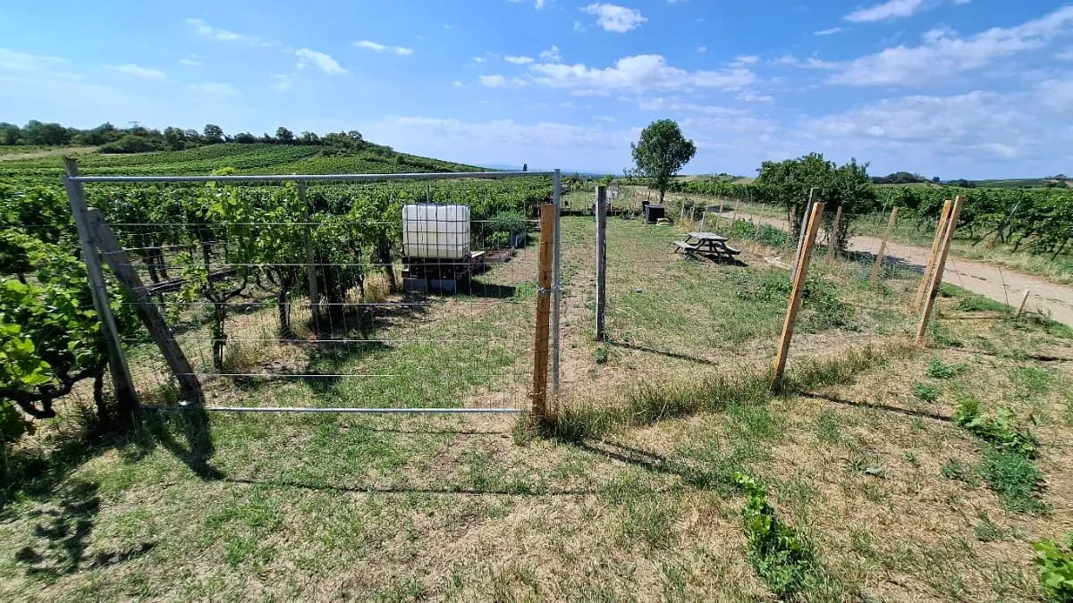 Grundstück kaufen in Mödling – 900 m², € 12.000