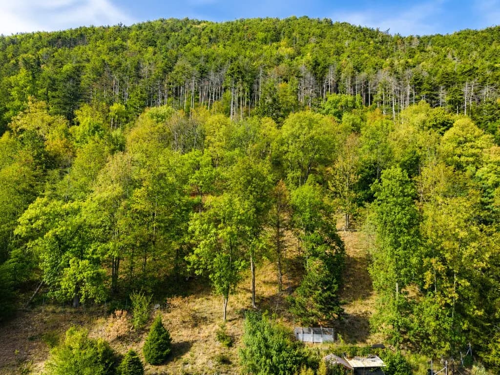 Immobilie kaufen in Neunkirchen – 280 m², € 698.000 – Bild 31 von 31