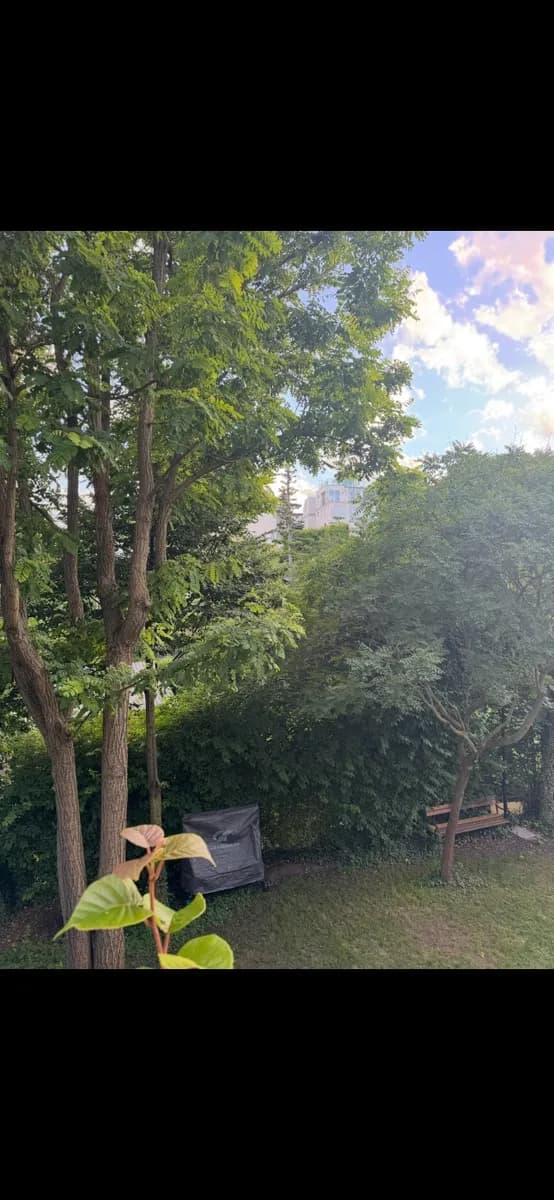 7-Zimmer-Haus mieten in Wien – 155 m², € 2.750 – Bild 11 von 12