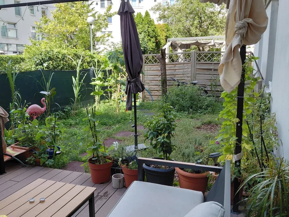 1-Zimmer-Wohnung mieten in Wien – 14 m², € 500 – Bild 1 von 7