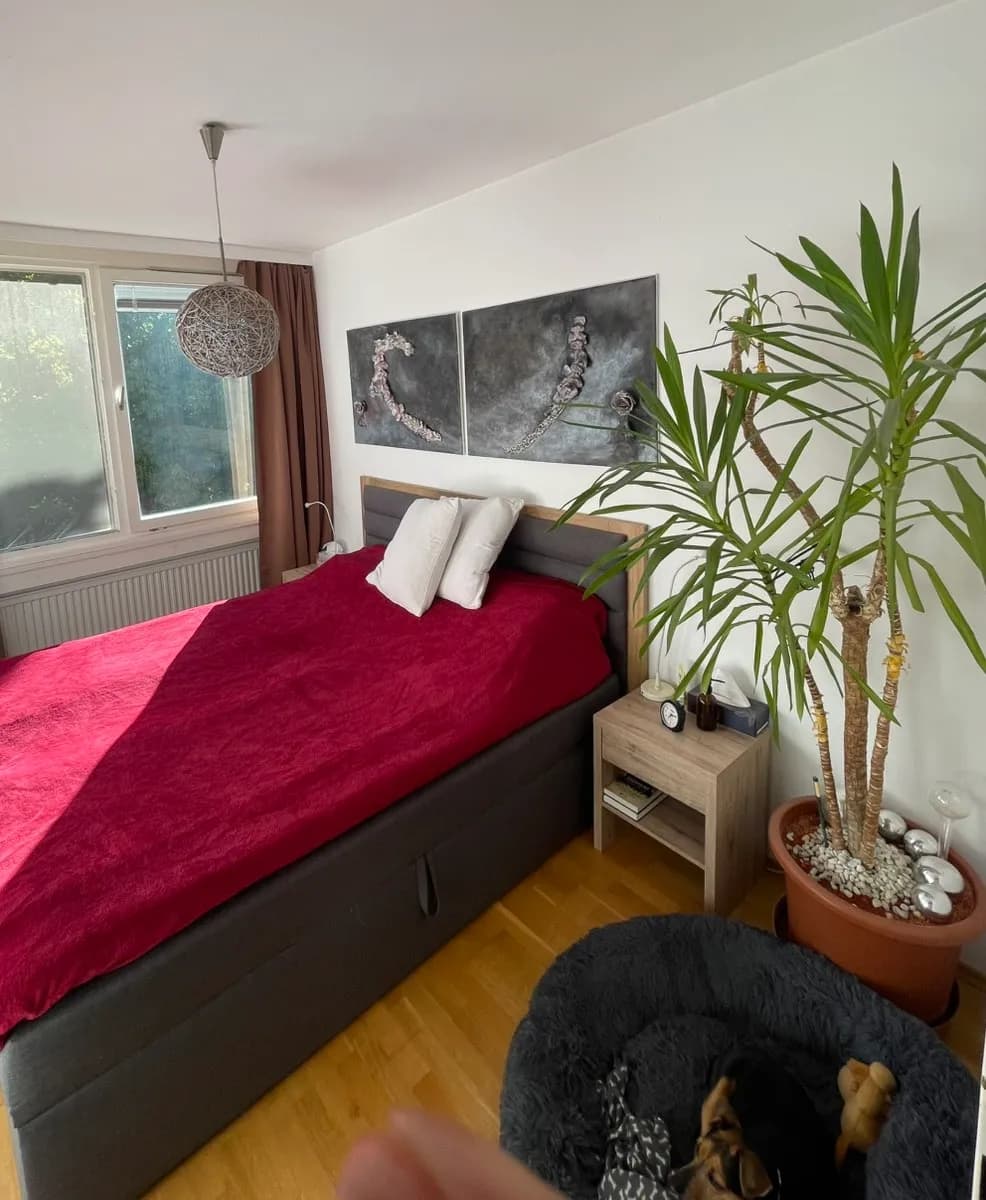 3-Zimmer-Wohnung mieten in Baden – 70 m², € 1.100 – Bild 5 von 10
