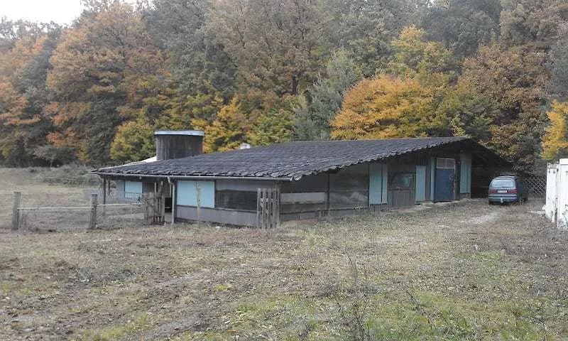Immobilie mieten in Hollabrunn – 14 200 m², € 650 – Bild 1 von 18