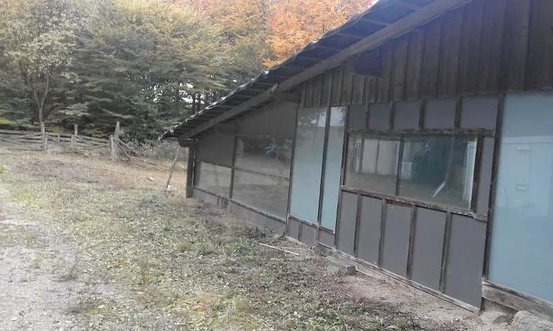 Immobilie mieten in Hollabrunn – 14 200 m², € 650 – Bild 3 von 18