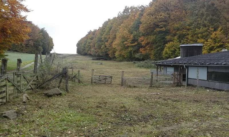 Immobilie mieten in Hollabrunn – 14 200 m², € 650 – Bild 4 von 18