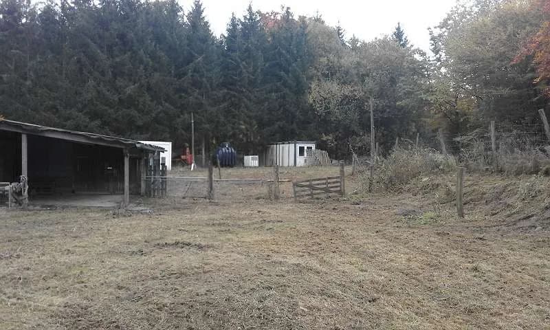 Immobilie mieten in Hollabrunn – 14 200 m², € 650 – Bild 5 von 18